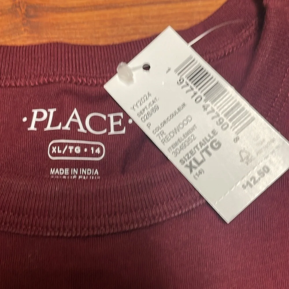 The Children's Place Maroon Pumpkin Picking Crew Kids T-Shirt NWT